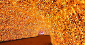 光のトンネル「紅葉（もみじ）」