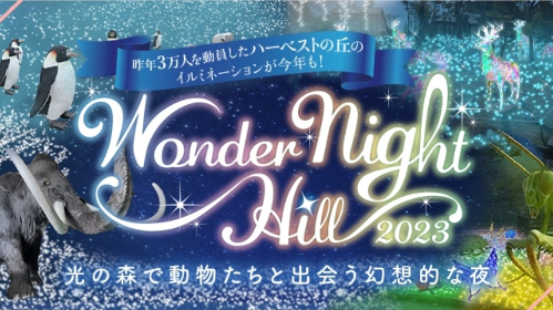 Wonder Night Hill 2023main